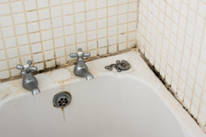 Bathroom mold