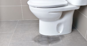 leaky toilet 